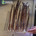 Frozen Tentacles Of Squid Frozen Squid Tentacles For Sale Fresh Frozen Squid Tentacles For Sale